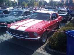 Big Bumper Meet 2010